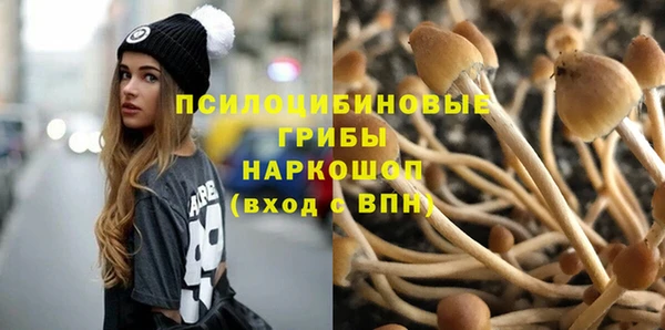 трава Абинск