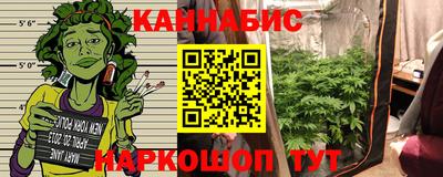 гидропоника Новозыбков