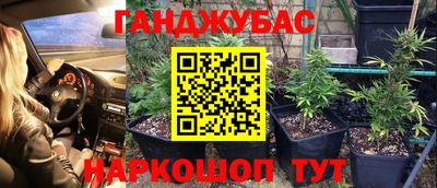 гидропоника Новозыбков