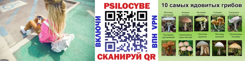 купить наркотик  Десногорск  Галлюциногенные грибы GOLDEN TEACHER 