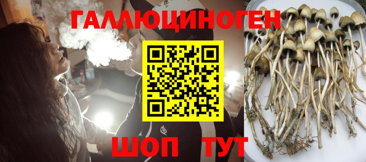 Псилоцибиновые грибы прущие грибы  Вход с VPN  где продают   Десногорск 
